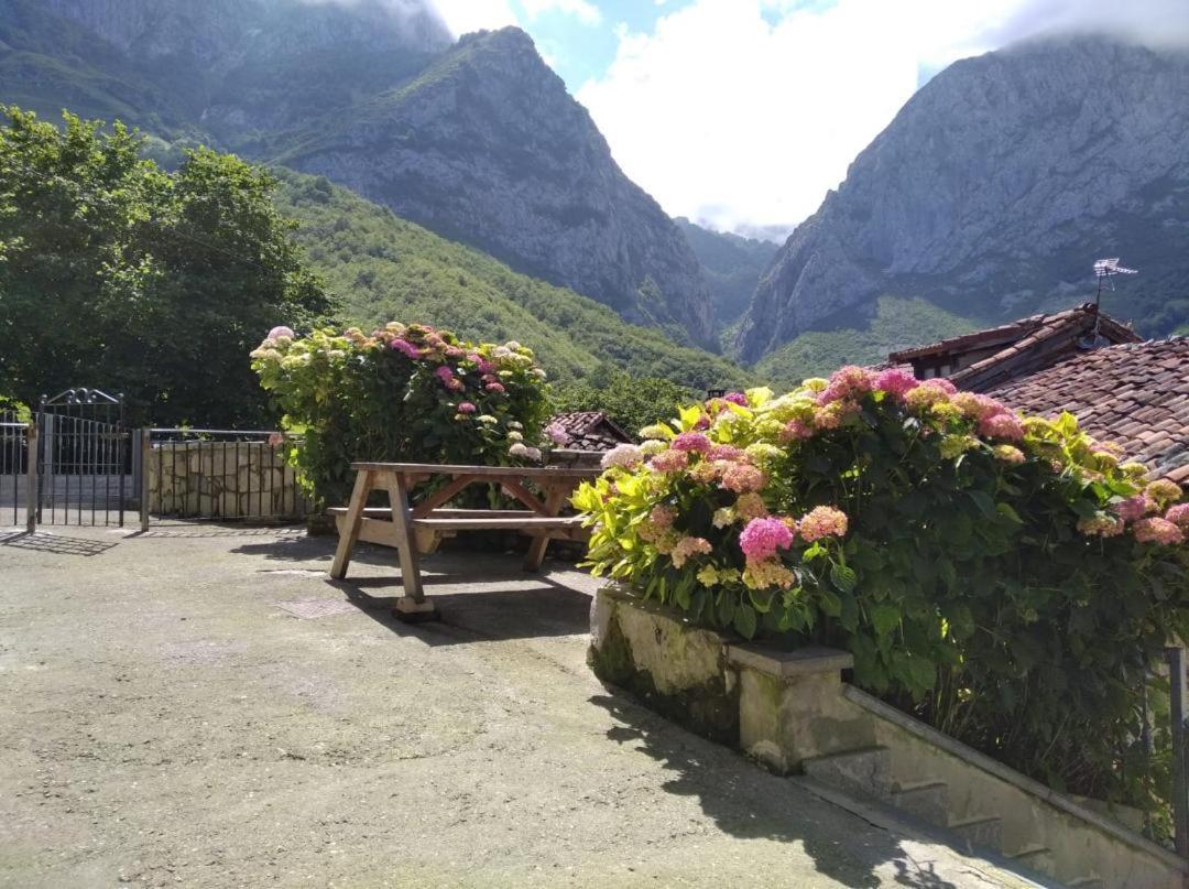 Affittacamere La Xiana Taranes Esterno foto