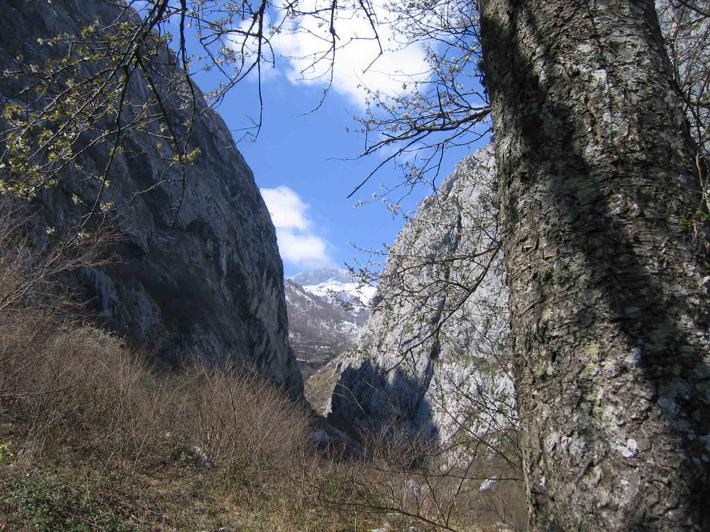 Affittacamere La Xiana Taranes Esterno foto